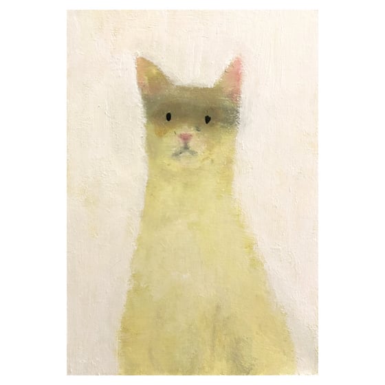 Image of ‘Dylan’