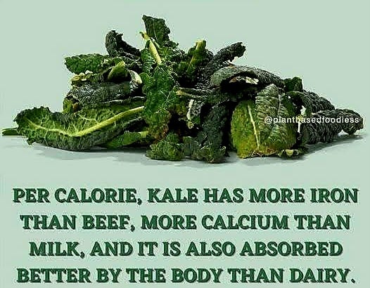 FOR KALE'S SAKE! Kale Vegetable Powder/Flakes. Detoxer-Antiviral-Alzheimer's-Bones-Anorexia-B6-Iron