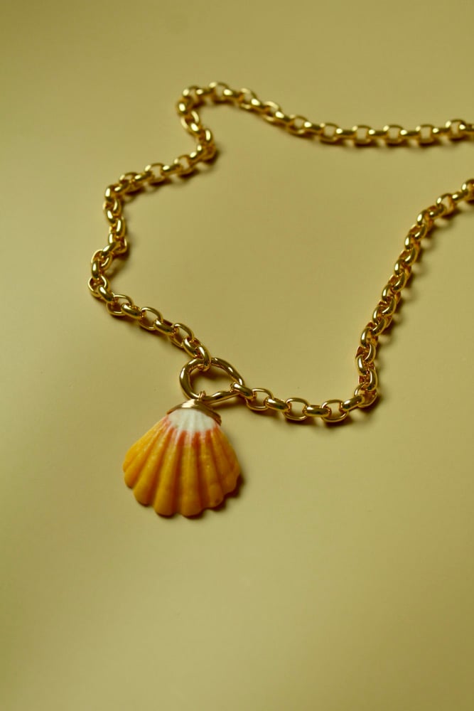 Image of Chunky links necklace - with sunrise shell