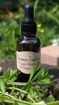 Image 2 of Cleavers Tincture