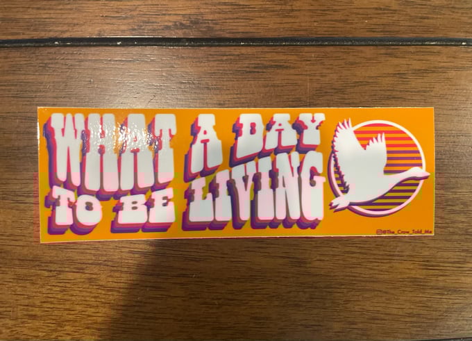 Image of What A Day!