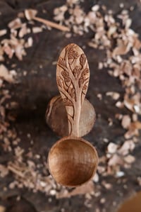 Image 1 of  Oak Tree Coffee Scoop 