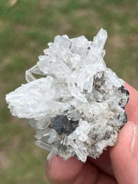 Image 11 of Huebnerite & Fine Quartz Points Specimen #2617