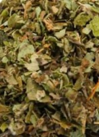 Image 2 of Burdock leaf