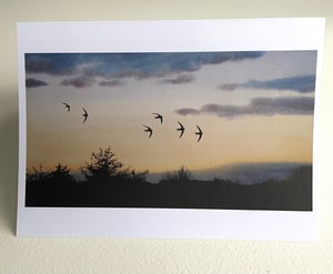 Image of Swift cards- pack of 4