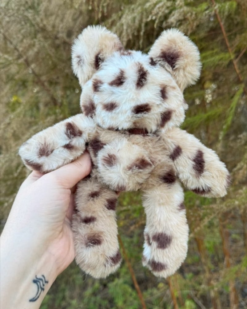 Image of Chocolate Chip Bear Baby Noodle