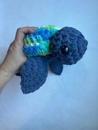 Image 4 of turtles 