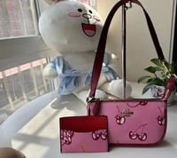 Image 1 of Cherry Bag