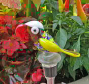 Image of Reserved for Nancy