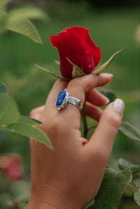 Image 3 of Starry Night 