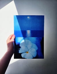 Image 3 of PANSY - BLUE SEA 