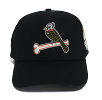 Image 1 of Love Skull Cardinals SnapBack Black/Olive 