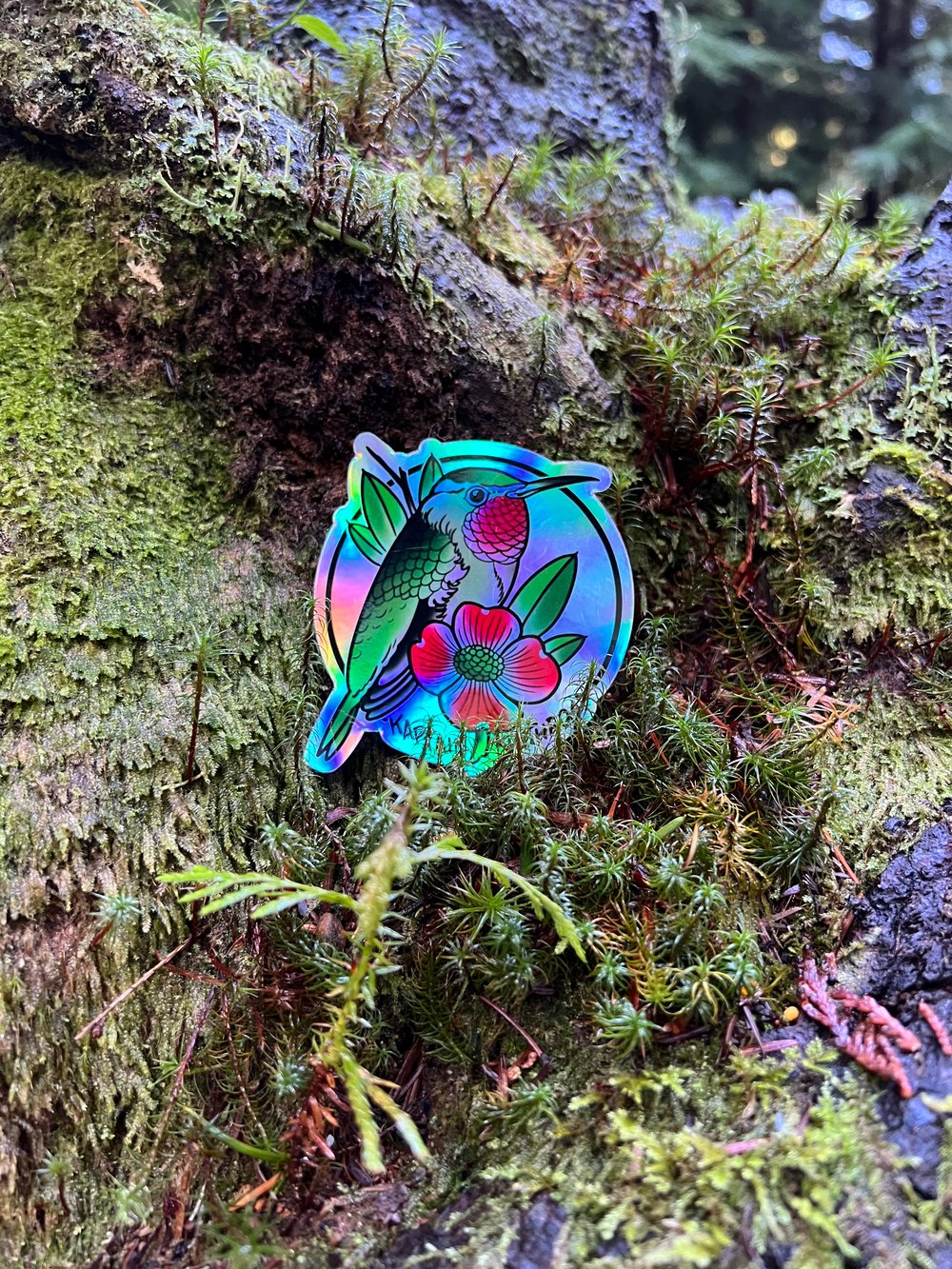 Hummingbird 