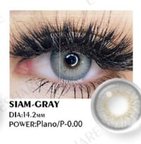 Siam/Gray