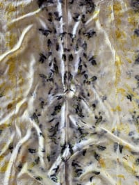 Image 1 of Silk Scarf 006