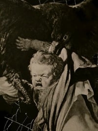 Image 3 of "REMBRANDT COLLECTION - Abduction of Ganymede with preserved spider web. 