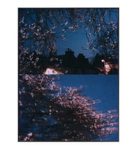 Image 3 of SPRING NIGHT II