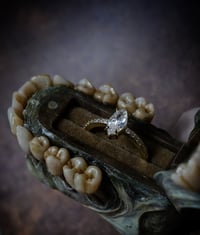 Image 5 of Old Bone Dental Ring Box- ring storage stash box handmade, one off