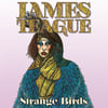 James Teague - Strange Birds/Hollow 7" (FYI010)