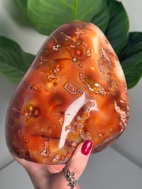 Image 4 of XXL BANDED CARNELIAN FREEFORM -MADAGASCAR- 