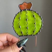 Image 3 of Barrel Cactus