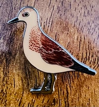 Image 5 of January 2023 Birding Pin Releases