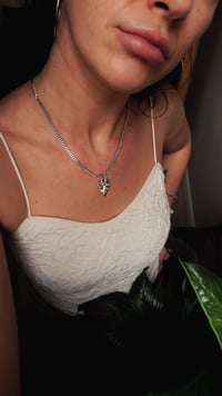 Image 3 of Cupid’s Face 