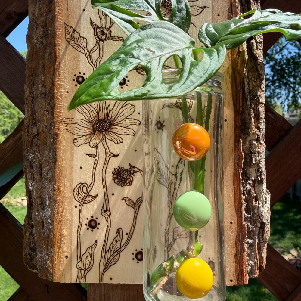 Image of sun seeker propagation station wood art