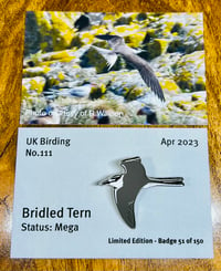 Image 1 of Bridled Tern - No.111 - UK Birding Pins - Enamel Pin Badge