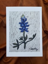 Bluebonnet- Print 