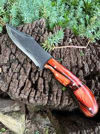 Image 2 of BENGAL TIGER BOWIE