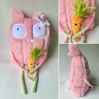 BRING ON SPRING 🌱☀️🐰Wibber the bunny SUPER with Rob the carrot sidekick 