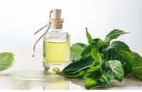 Peppermint Essential Oil