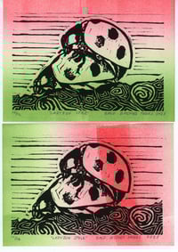 Image 3 of Ladybug Style