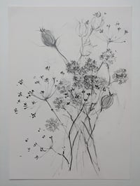 Dried stems II