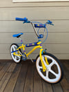 Custom Special order Eddie Fiola bike 