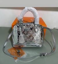 NEPTUNE SILVER PURSE