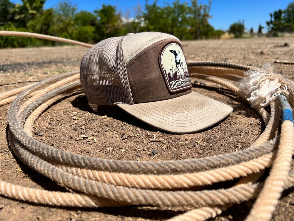 Pintail Panel Hats