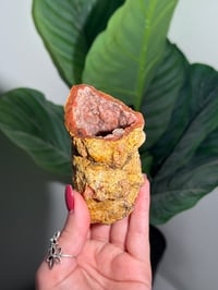 Image 1 of PINK CHALCEDONY GEODE -MOROCCO- E