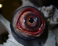 Image 16 of Custom Swappable Phone Grip for smartphones, reflective pupil, green glow in the dark