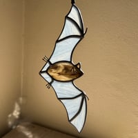 Image 2 of Gray Streaky Flying Bat