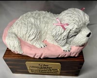 Image 7 of Custom Engraved White Maltipoo Maltese Pet Urn To Your Dog's Photo
