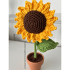 Mini Sunflowers