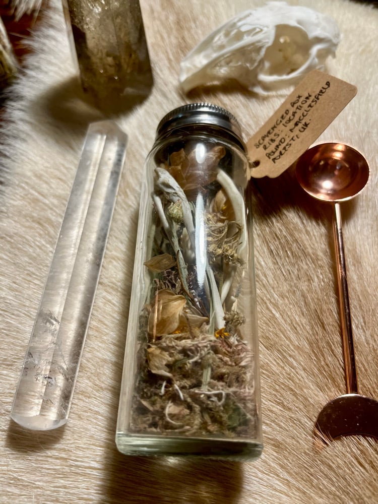 Image of Protective Herbs & Fox Bones 