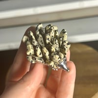 Image 2 of Dalmatian Jasper Hedgehogs ($12)