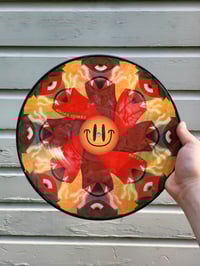 Image 3 of Adobe Homes - Fiesta (Discography) - 12" picture disc