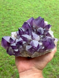 Image 21 of Amethyst Points Cluster | Congo #2868
