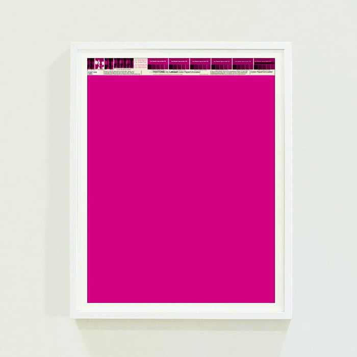 PANTONE® Letraset Posters × Fuchsias