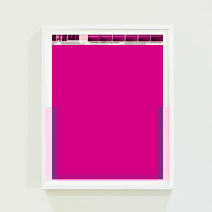PANTONE® Letraset Posters × Fuchsias