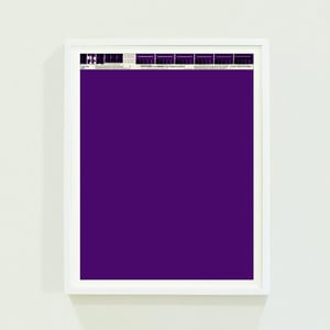 PANTONE® Letraset Posters × Purples
